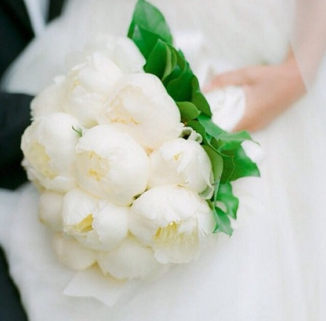 bouqet, flowers, white and WeddingFlowers