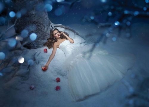 weddingdress, snow and apple