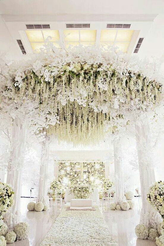 reception, white, petal and scenario