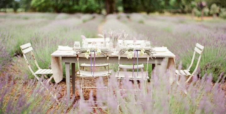 lavender, summer and table