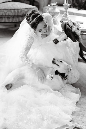 cute, best friend and dog