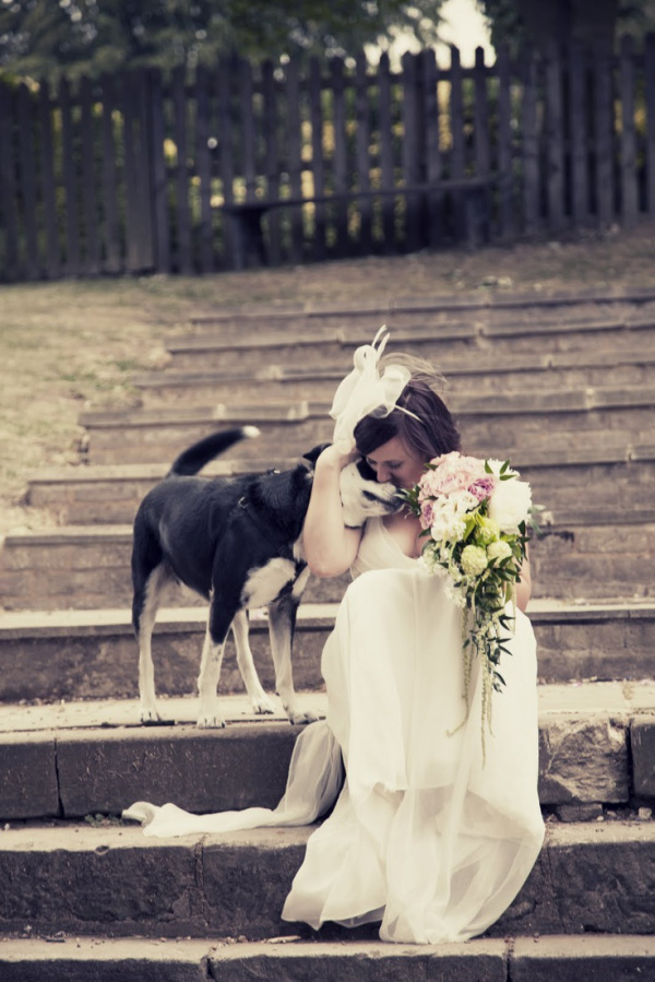 best friend, dog and cute