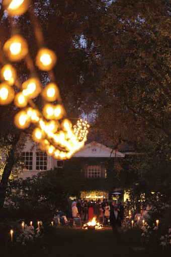 outdoor, lights and photography