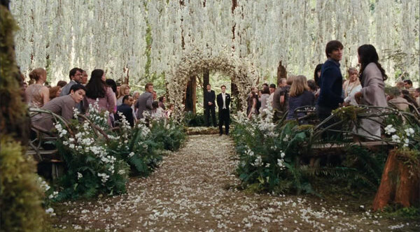 luxury, twilight and edward cullen