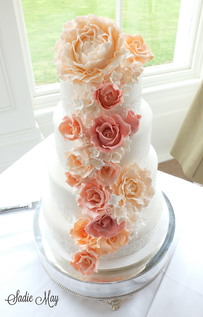 peone, sadie may cakes and wedding cake