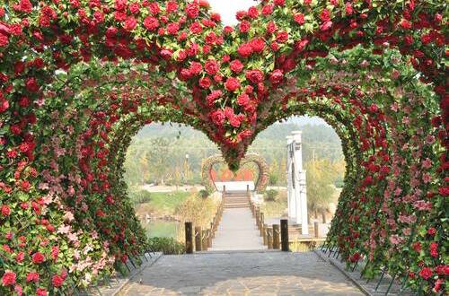 beautiful decor, outdoor wedding and wedding decoration