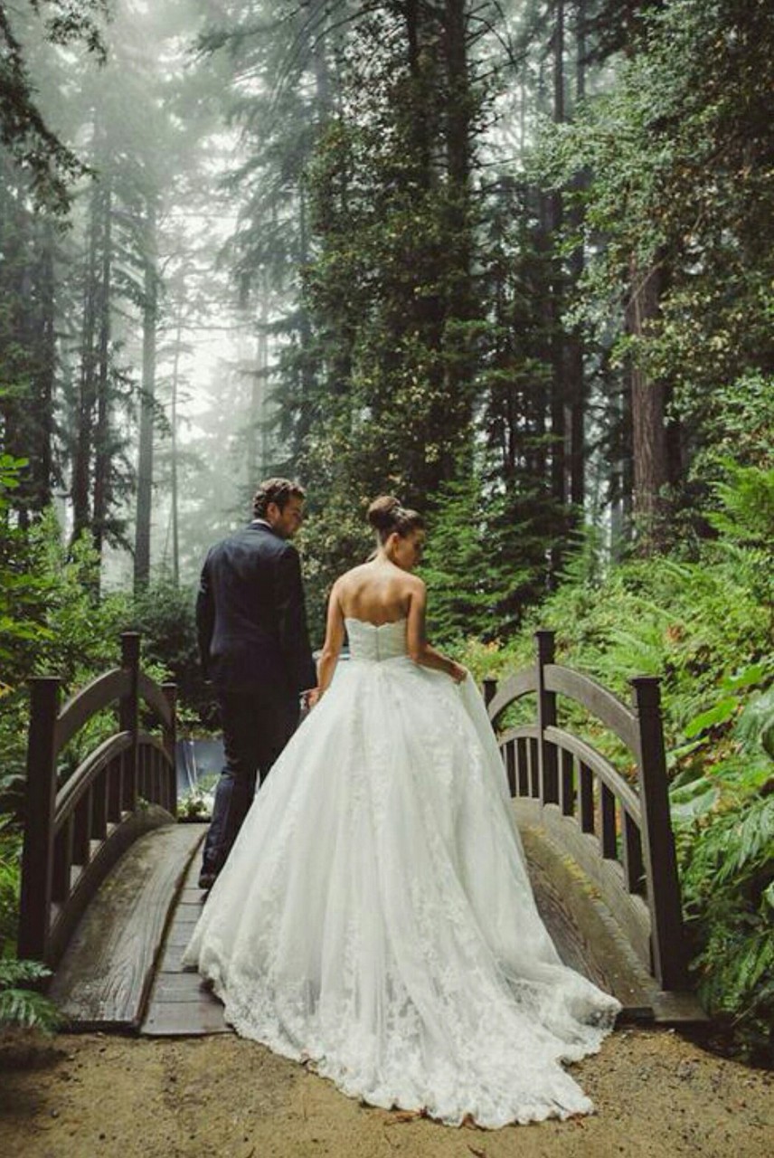 chntl, dress, sprfnk and forrest