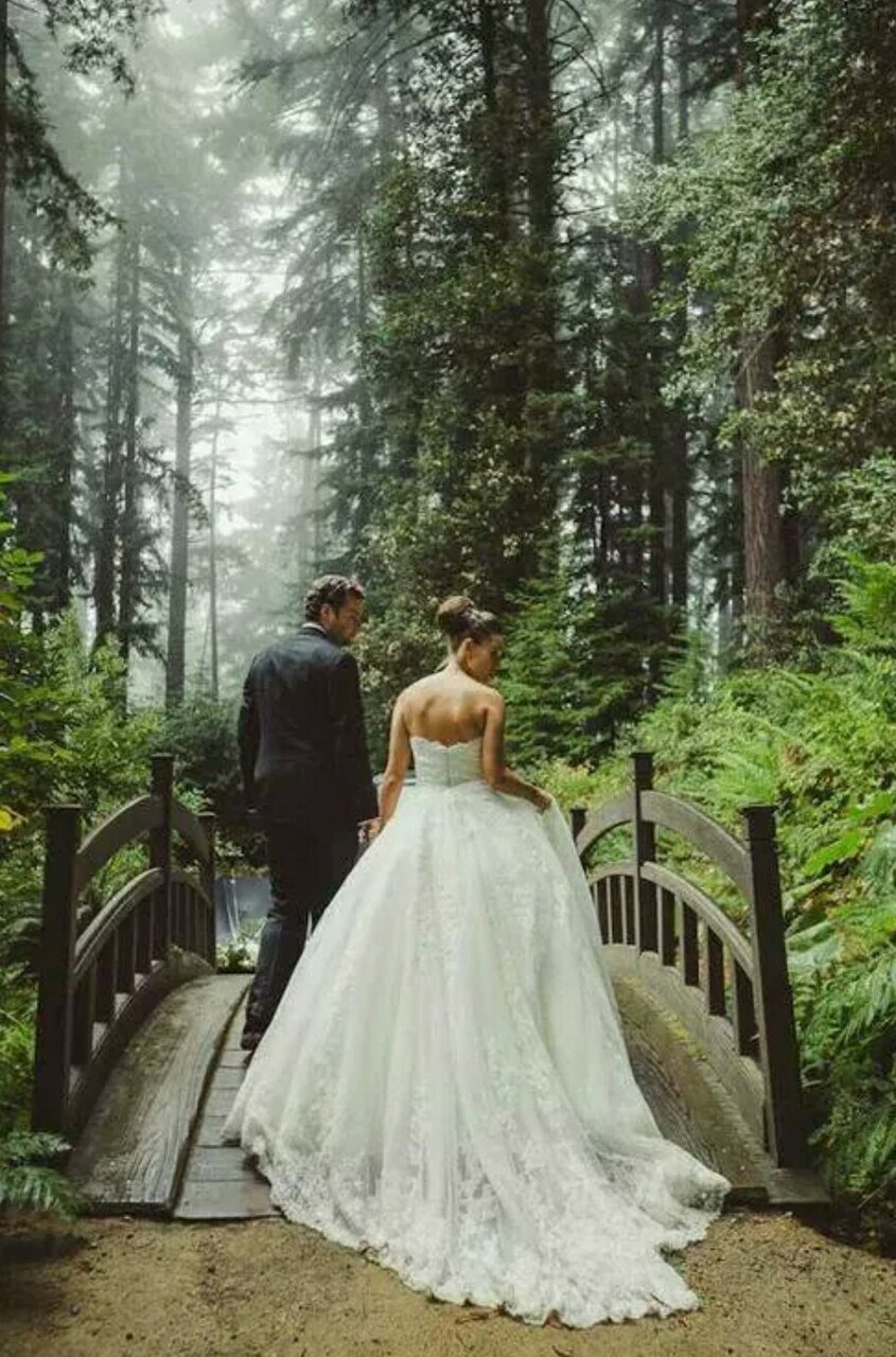 forest, happy, bridge and New Life