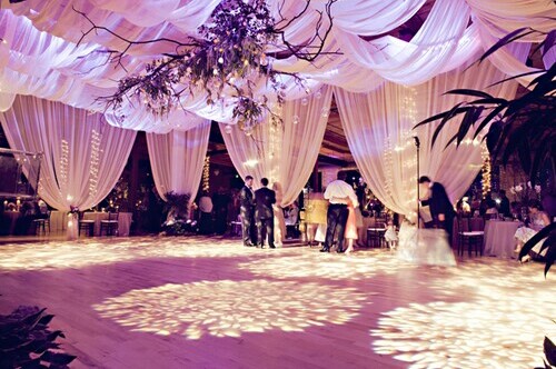 beautiful, party and purple