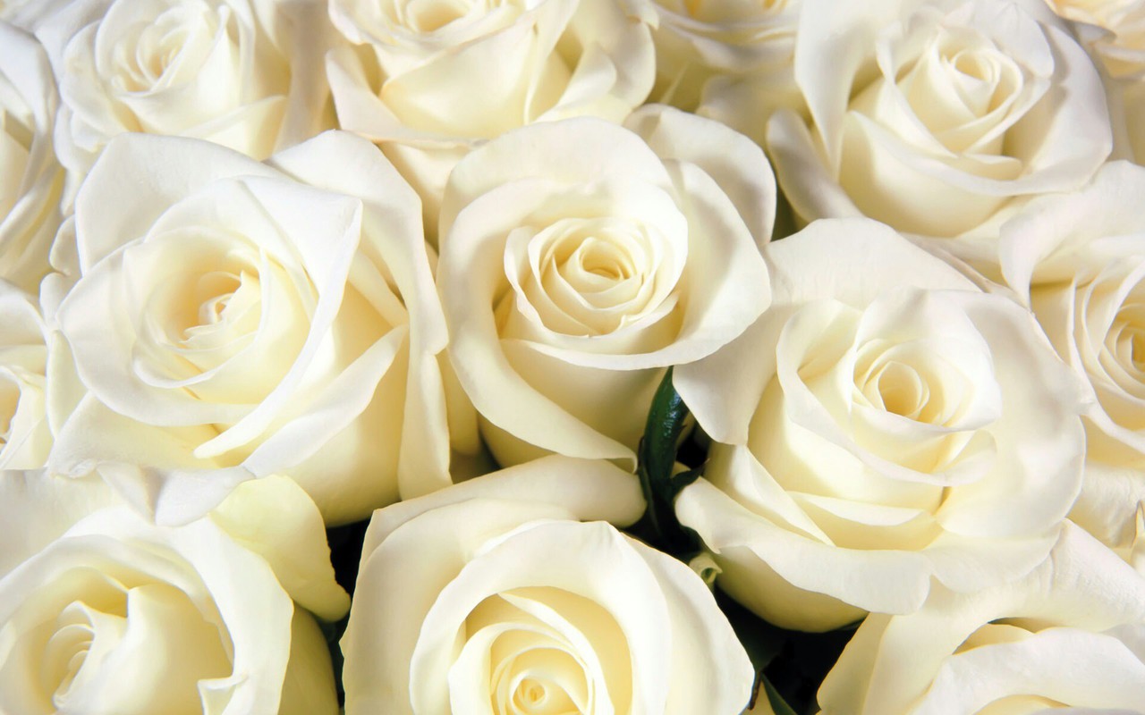 love, fashion, classy and wedding bouquet