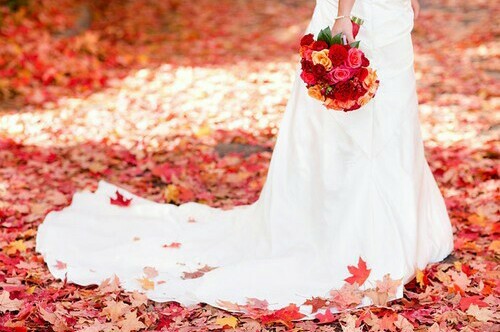fall, flower and lifegoal