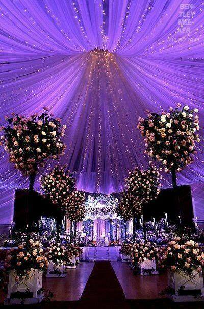 pics, picteres and flowers