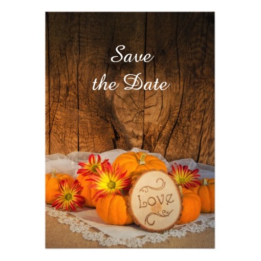 pumpkins, rustic, autumn and daisies