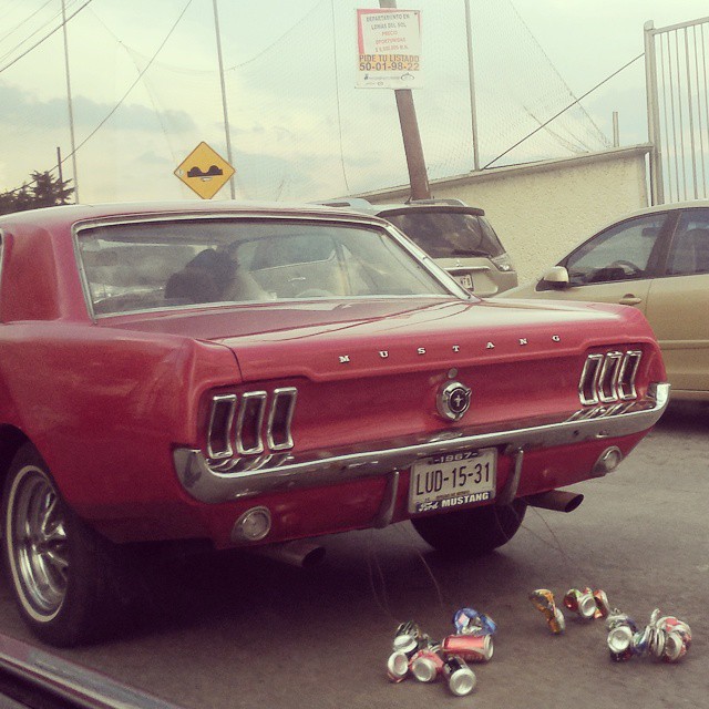 mustang, way, car and red