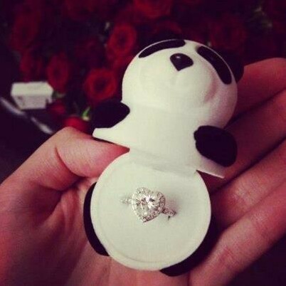 panda, fashion and ring