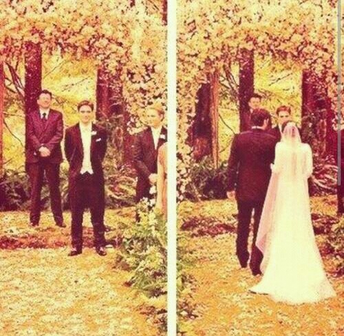 breaking dawn, edwella, twilight saga and love