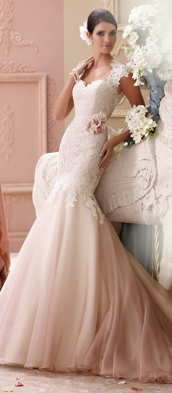 bridal, beauty, married and woman