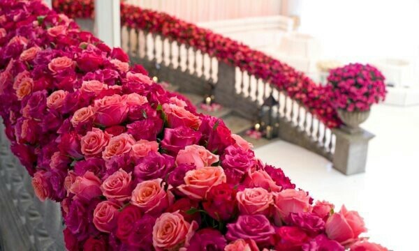 pink, roses and beautiful
