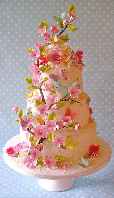 cherry blossom, birds and cake
