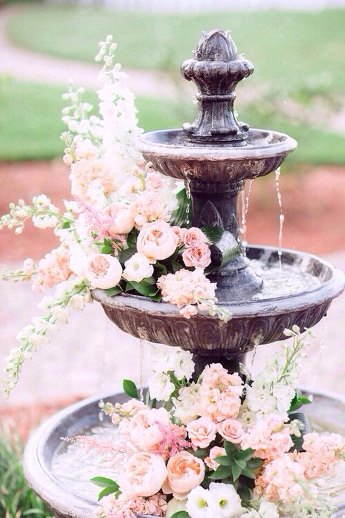 pink, hawaii, roses and love