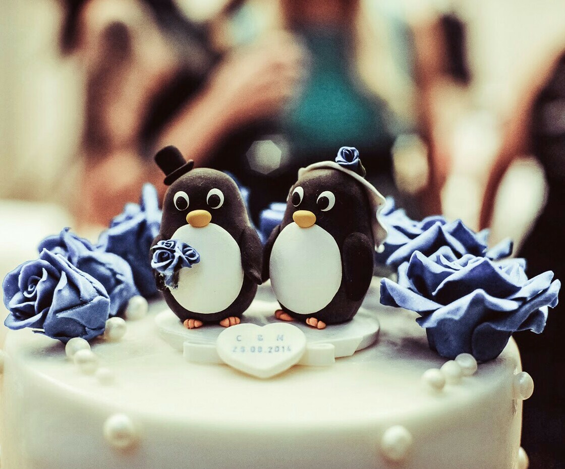 love, penguins and penguin