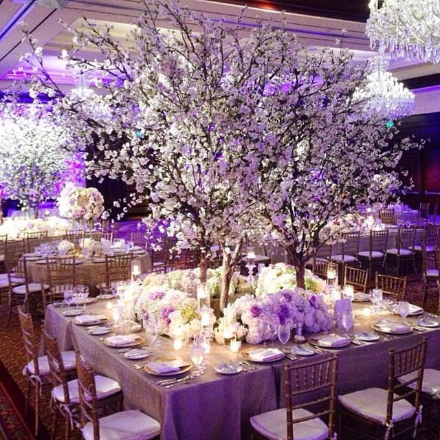 bouquet, beautiful, flowers and bride