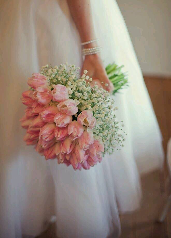 tulip, cute, bouque and flower