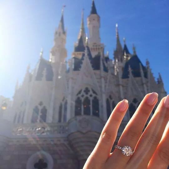 palace, castle, park and disney land