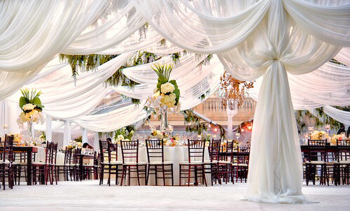 flowers, like and luxurious