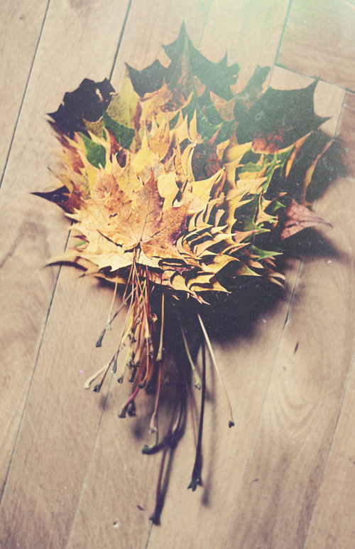 autum, Halloween and fashion