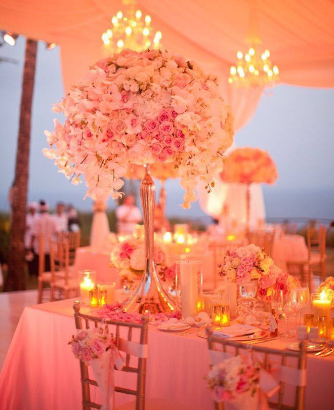 orange roses, candles, reception and bright color