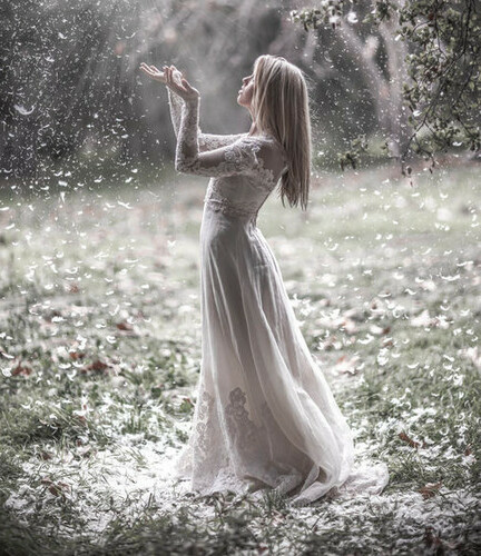 beautiful, bride and photo
