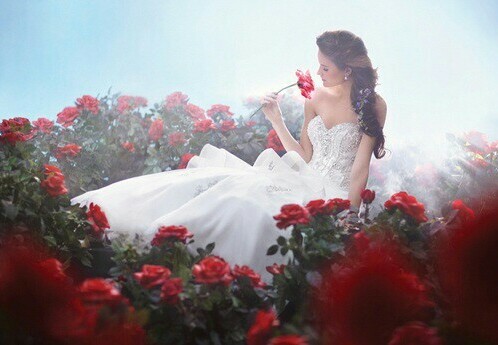 dress, paradise and smell