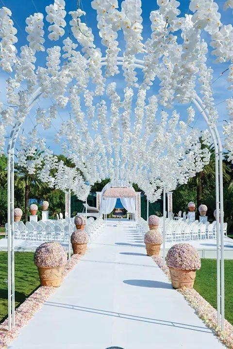 wedding party, festival, white and celebrate