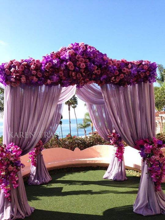 arch, tropical, purple and amazing
