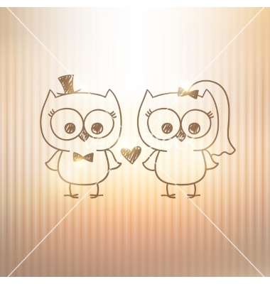 bird, love and owl