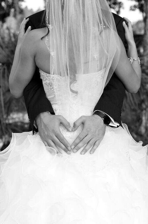groom, love and beide