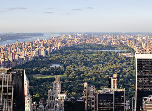 amazing, nice and city
