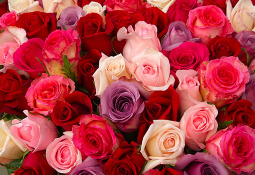 romance, vintage and pink