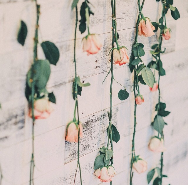 beautiful, pink, wall and decor