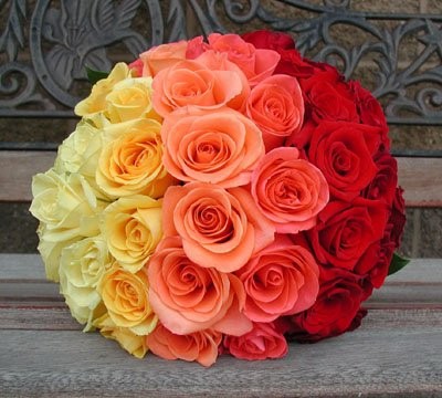 orange, yellow and pretty