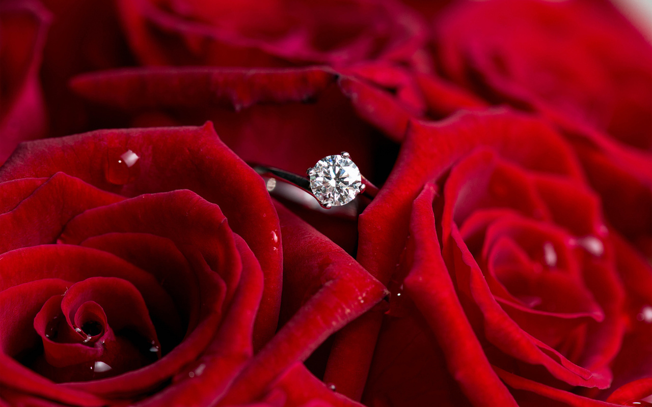 ring, rose, love and beauty