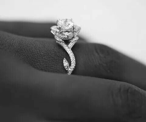 ring, you & me and you and me