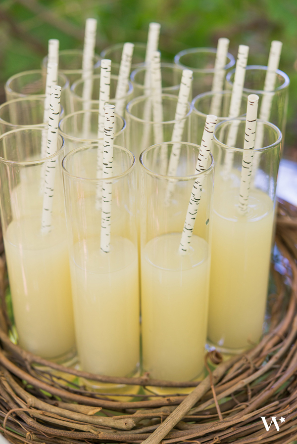 outdoor, nature, woodland and Straws
