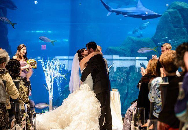 drees, kiss and love