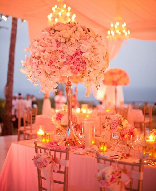flowers, light, beautiful and orange