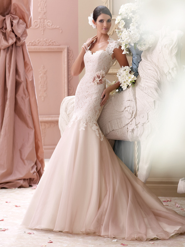 bridal dress and wedding dress
