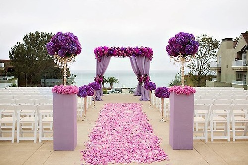 amazing, romance and love