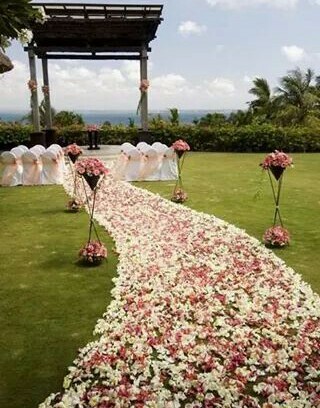 diy, roses and walk