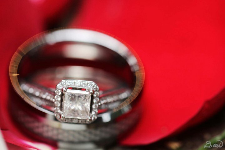 deminicole photography, photography, macro and rings